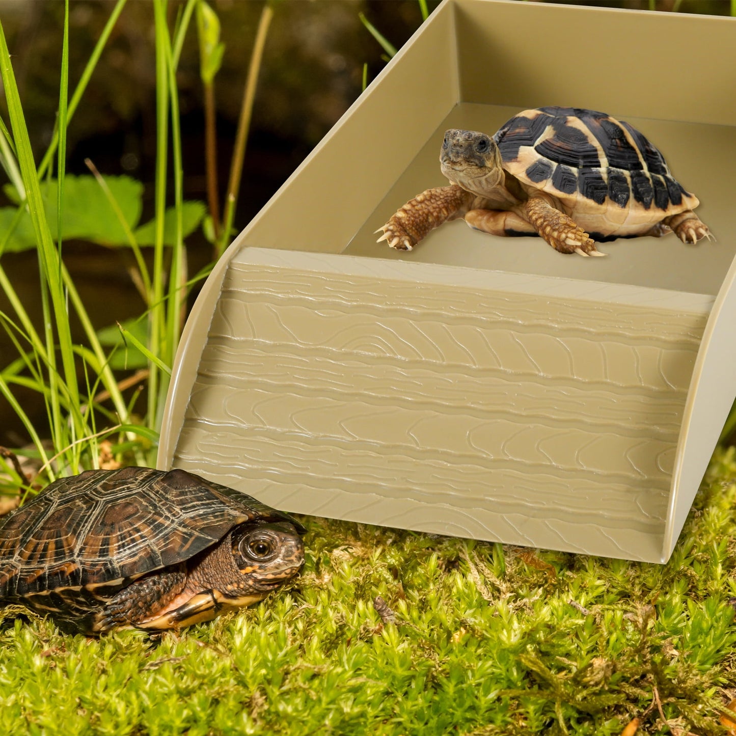 Qenwkxz Tortoise Food Dish Reptile Water Food Bowls with Anti-Slip Ramp Reptile Water Dish Reusable Turtle Reptile Pool Tortoise Habitat Accessories for Turtles Horned Frogs and Lizards 36x20x6cm