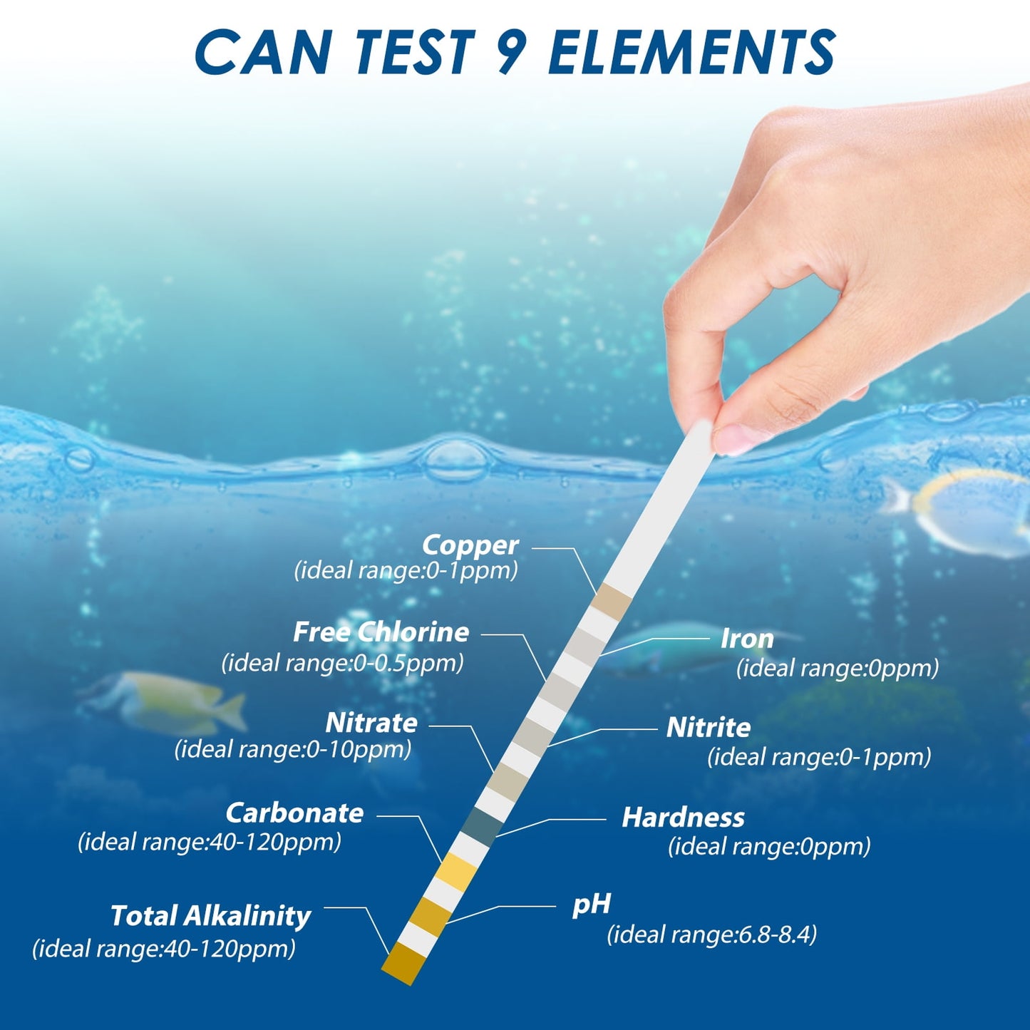 Hvxrjkn 100Pcs Aquarium Test Strips 9 in 1 Fish Tank Test Kit with Test Tube Fast Aquarium Water Testing Strips for Iron Copper Nitrate Nitrite Free Chlorine Hardness Carbonate pH