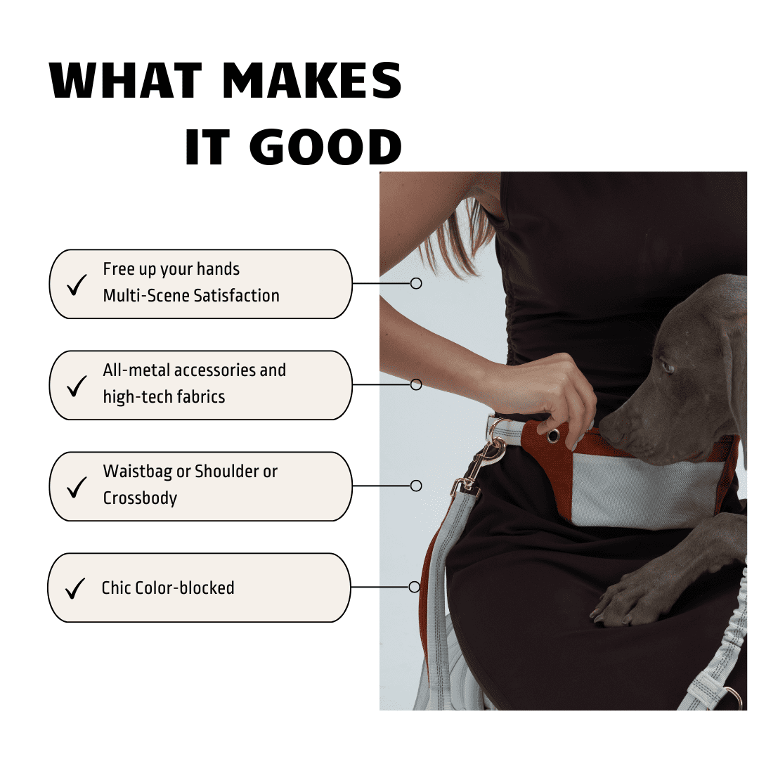 WOONONO Color-Blocking Hands Free Dog Leash with Pouch Fanny Pack and Leash Combo for Walking Dogs