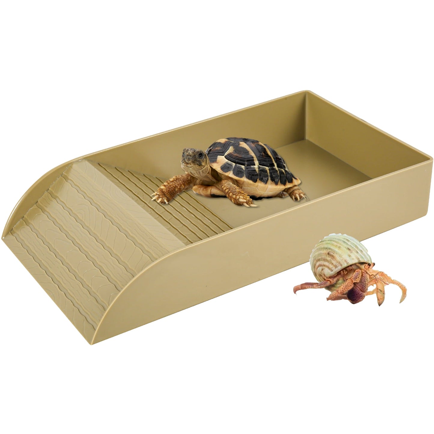 Qenwkxz Tortoise Food Dish Reptile Water Food Bowls with Anti-Slip Ramp Reptile Water Dish Reusable Turtle Reptile Pool Tortoise Habitat Accessories for Turtles Horned Frogs and Lizards 36x20x6cm